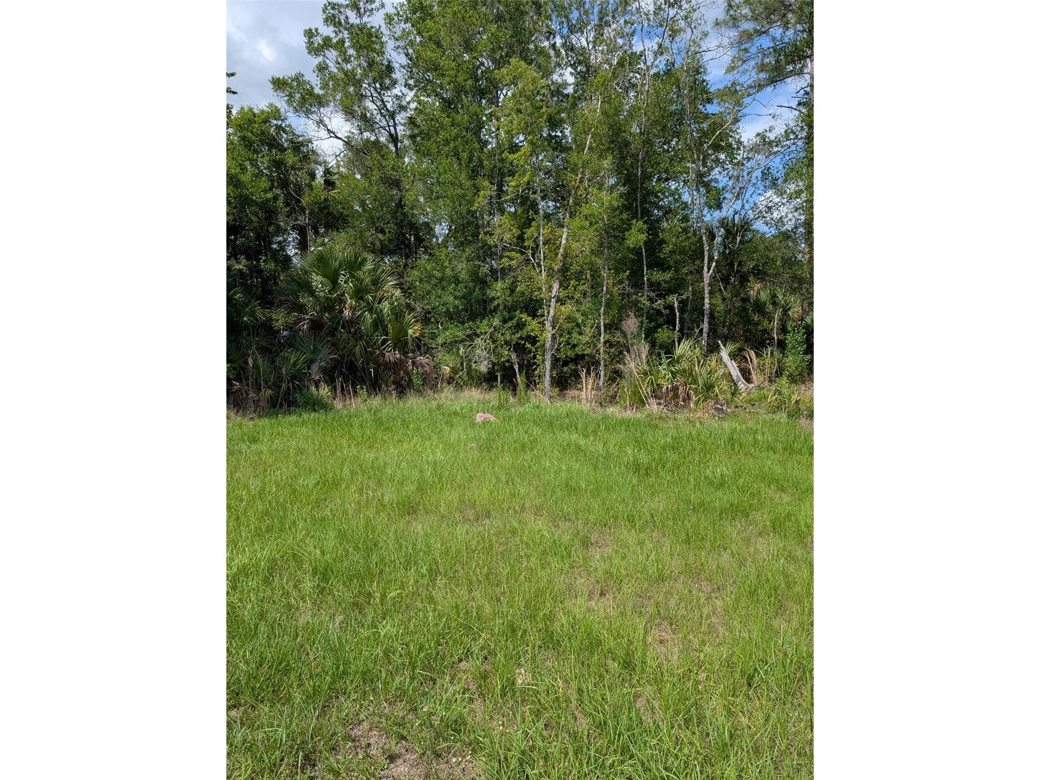 5251 N Us 19 Highway Crystal River FL 34428 OM725673 image5