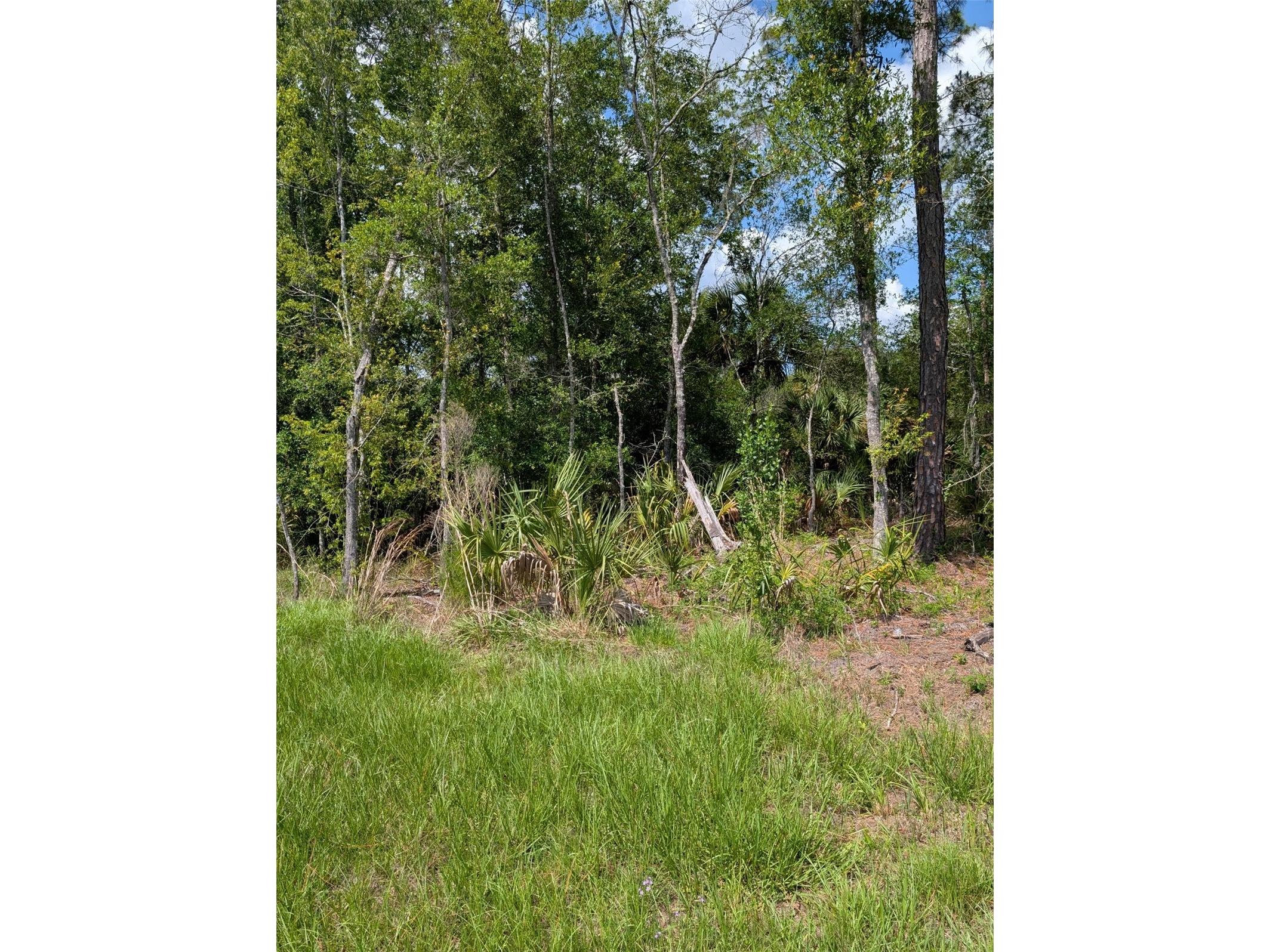 5251 N Us 19 Highway Crystal River FL 34428 OM725673 image7