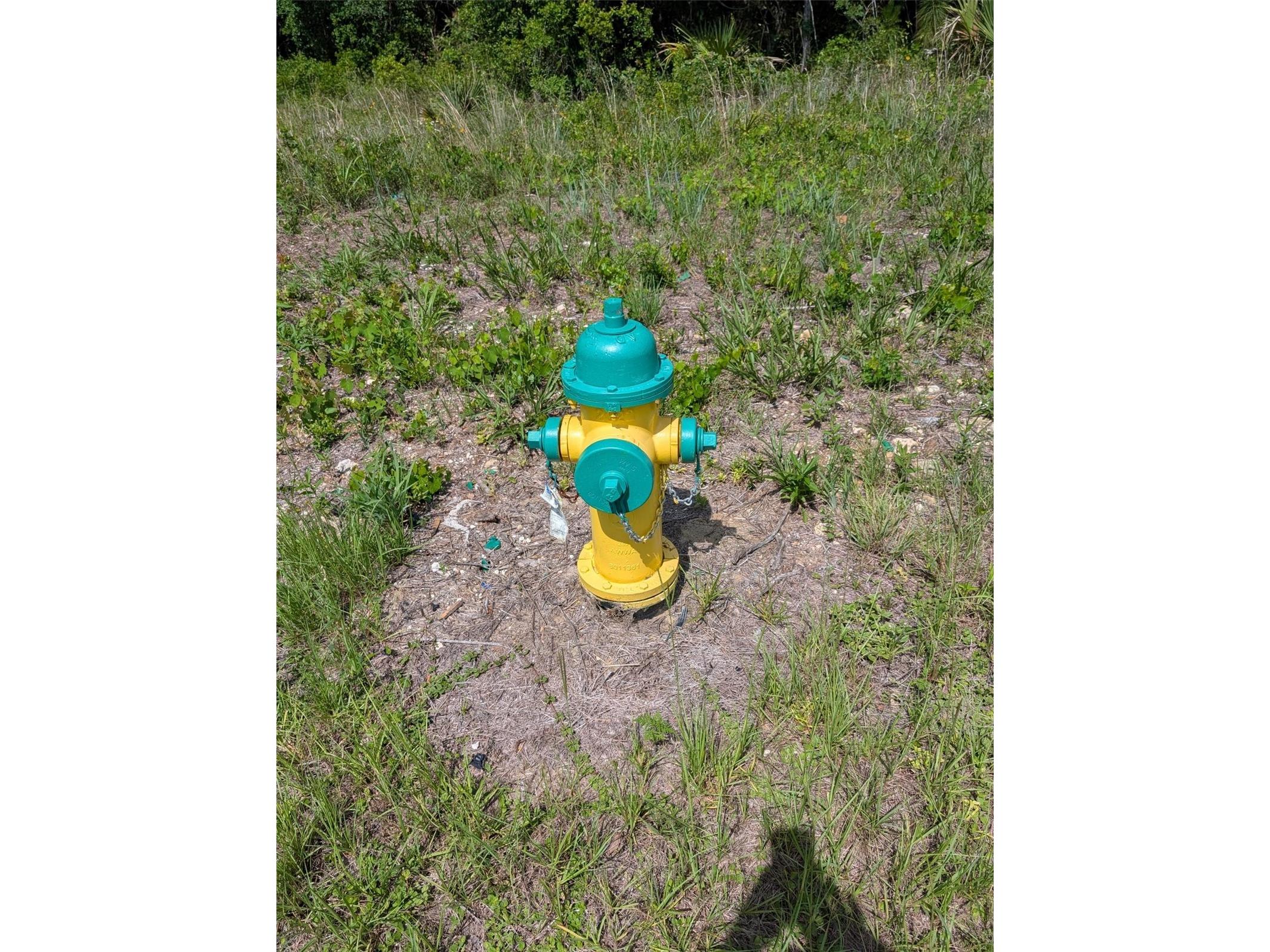 5251 N Us 19 Highway Crystal River FL 34428 OM725673 image8
