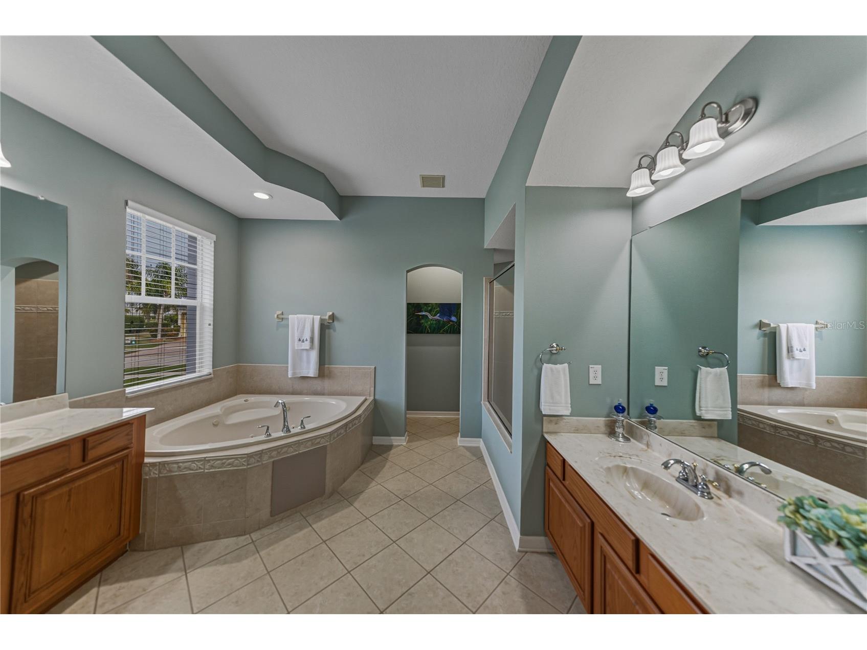 5252 Brighton Shore Drive Apollo Beach FL 33572 O6370979 image43