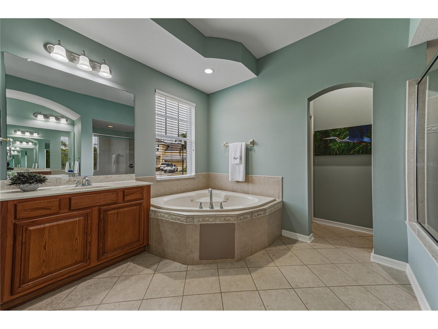 5252 Brighton Shore Drive Apollo Beach FL 33572 O6370979 image44