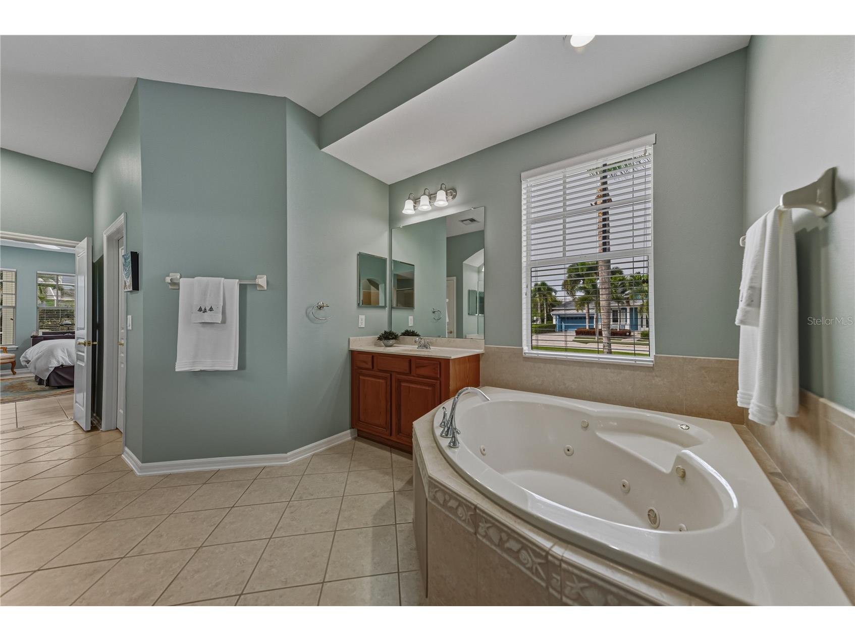 5252 Brighton Shore Drive Apollo Beach FL 33572 O6370979 image45