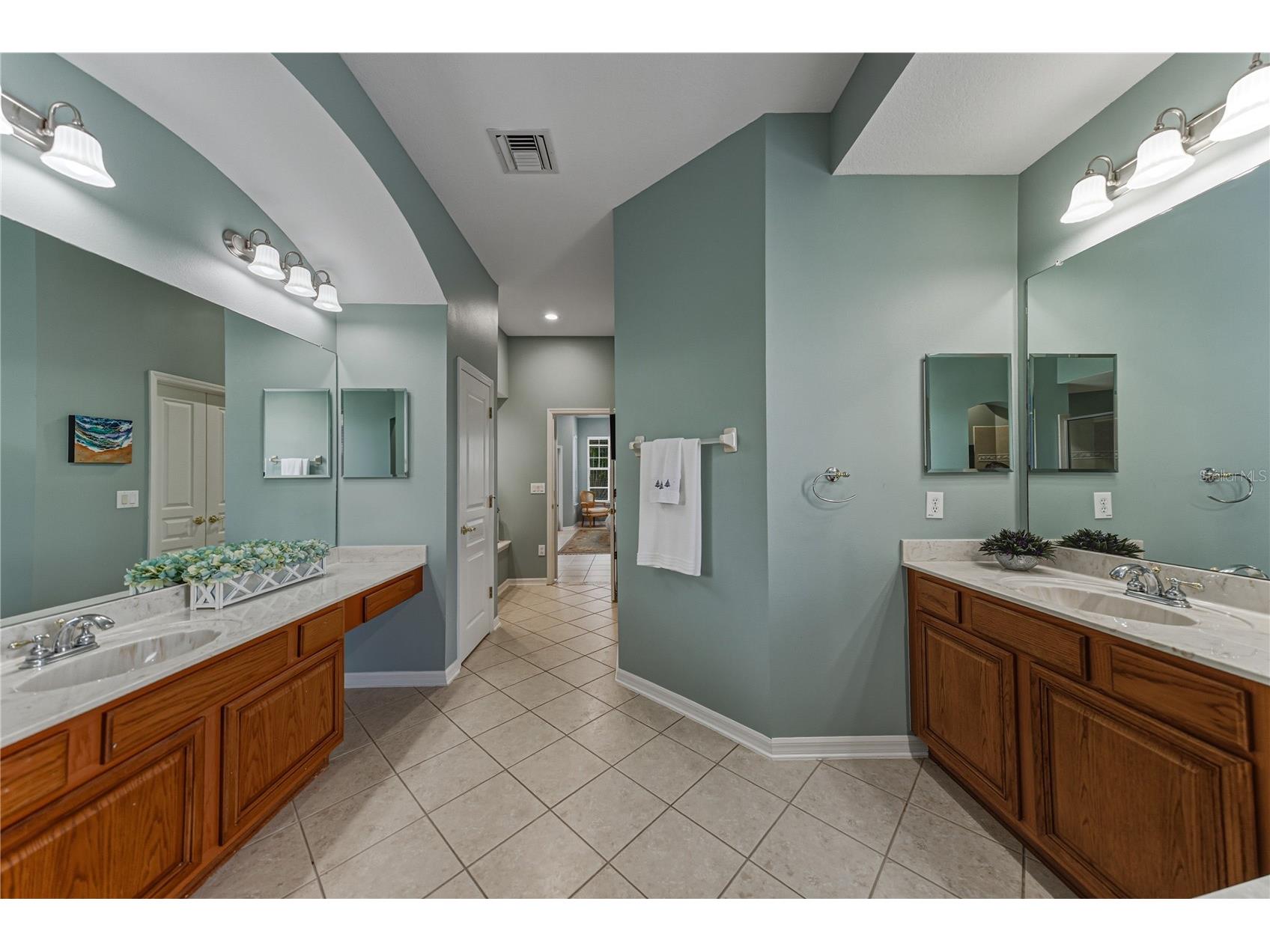 5252 Brighton Shore Drive Apollo Beach FL 33572 O6370979 image46