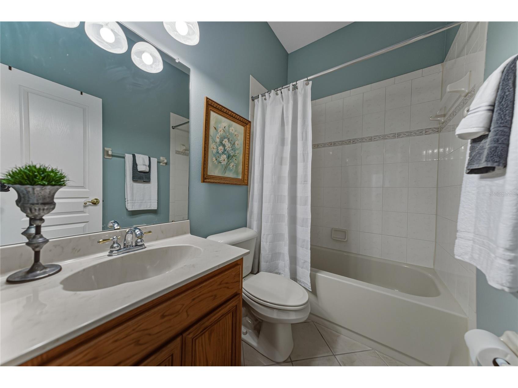 5252 Brighton Shore Drive Apollo Beach FL 33572 O6370979 image50