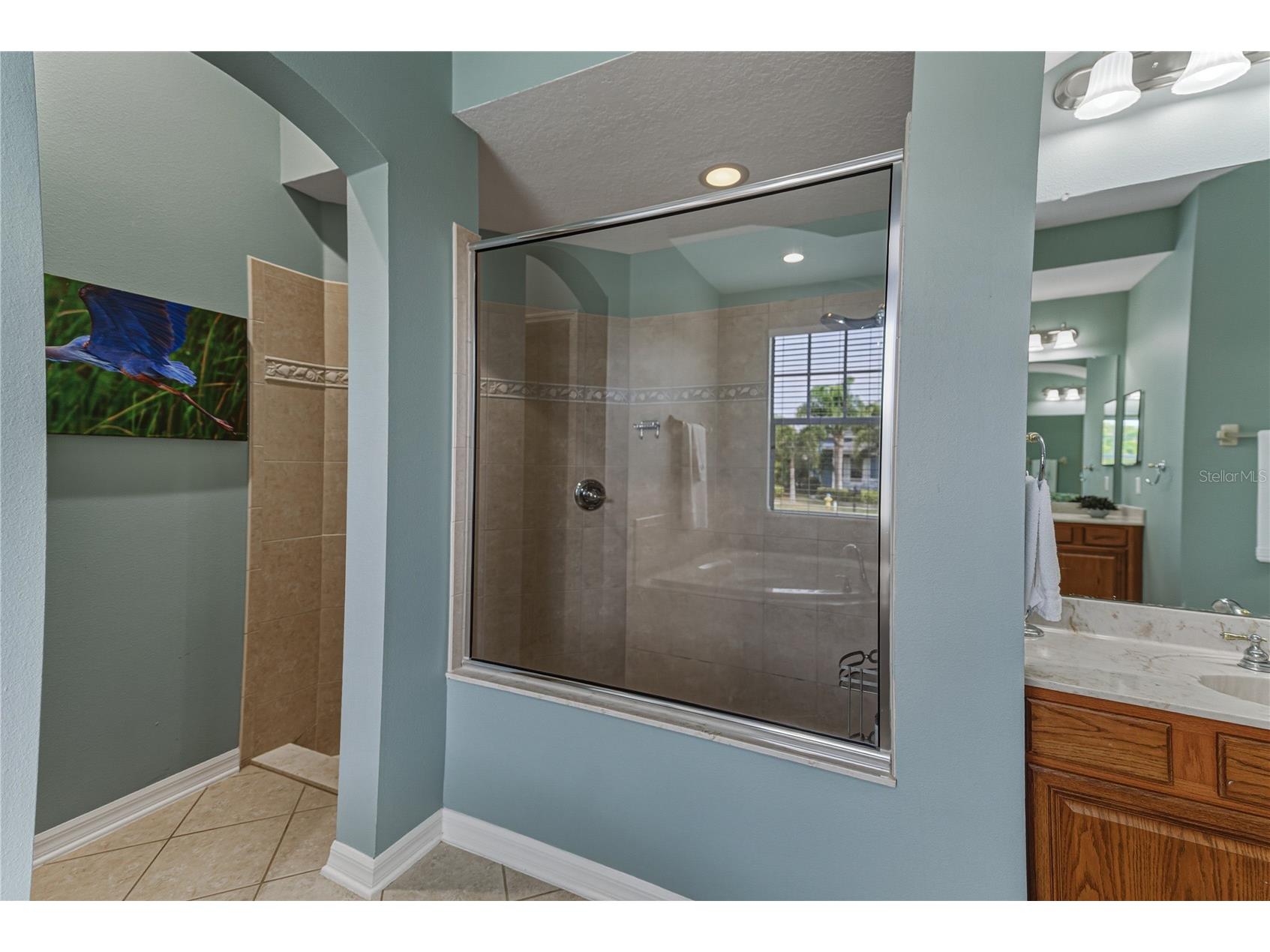 5252 Brighton Shore Drive Apollo Beach FL 33572 O6370979 image51