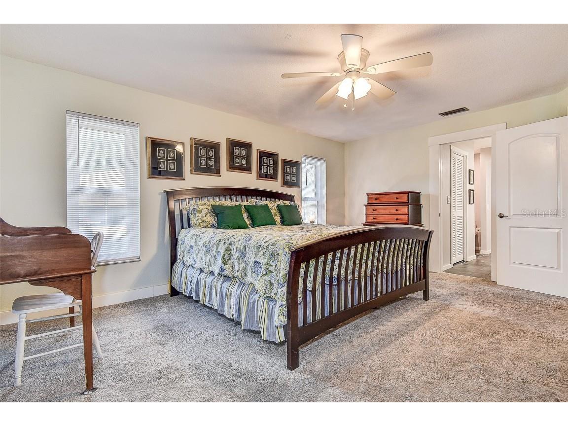 5253 Sandra Drive Weeki Wachee FL 34607 TB8450803 image19