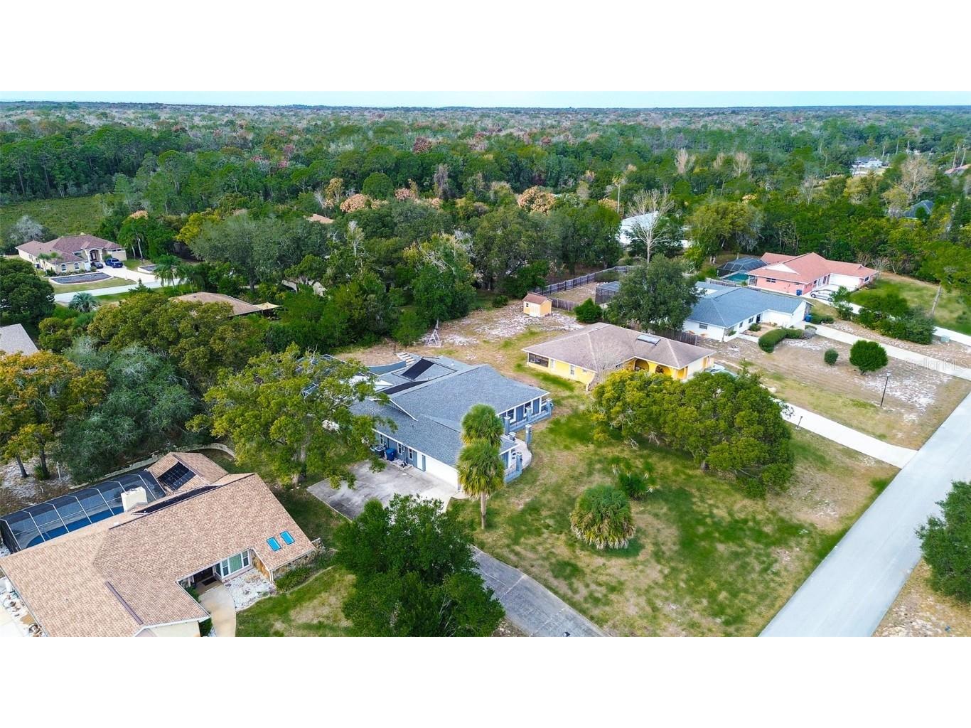 5253 Sandra Drive Weeki Wachee FL 34607 TB8450803 image46