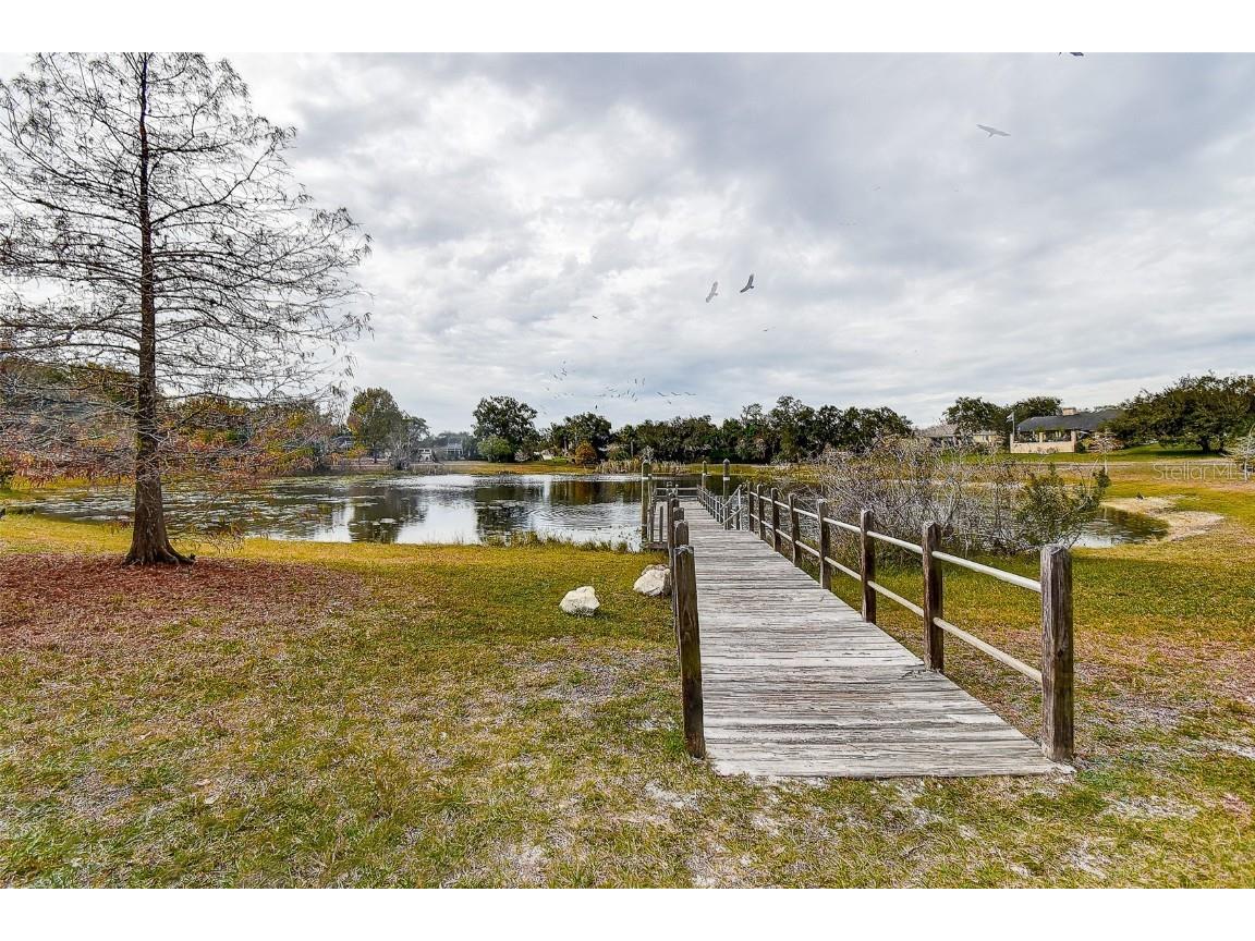 5253 Sandra Drive Weeki Wachee FL 34607 TB8450803 image51