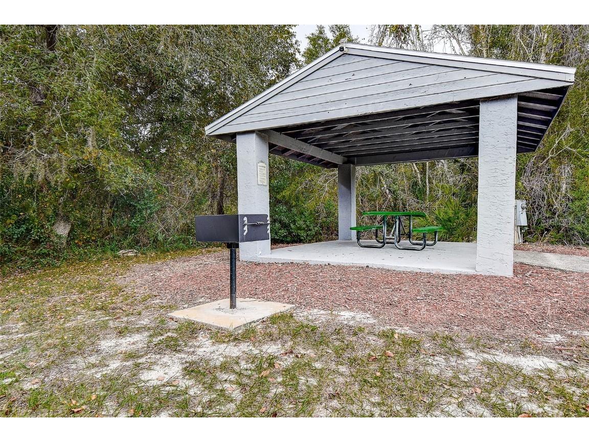 5253 Sandra Drive Weeki Wachee FL 34607 TB8450803 image53