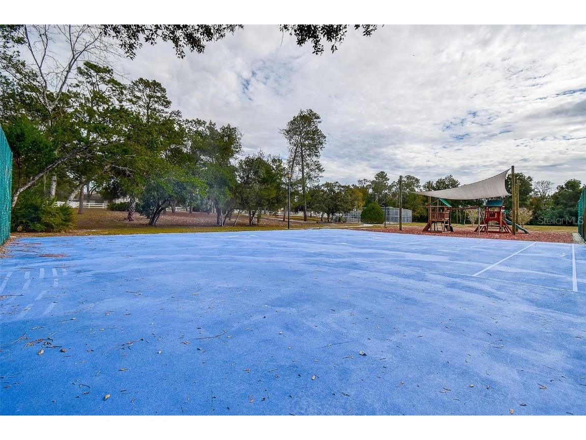 5253 Sandra Drive Weeki Wachee FL 34607 TB8450803 image57