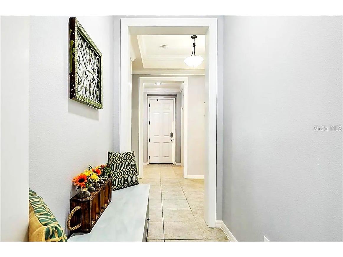 5253 Suncatcher Drive Wesley Chapel FL 33545 TB8512444 image19