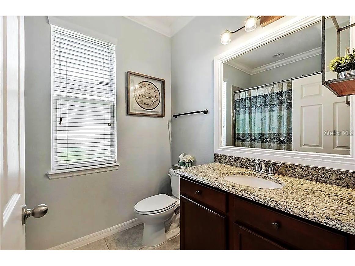 5253 Suncatcher Drive Wesley Chapel FL 33545 TB8512444 image21
