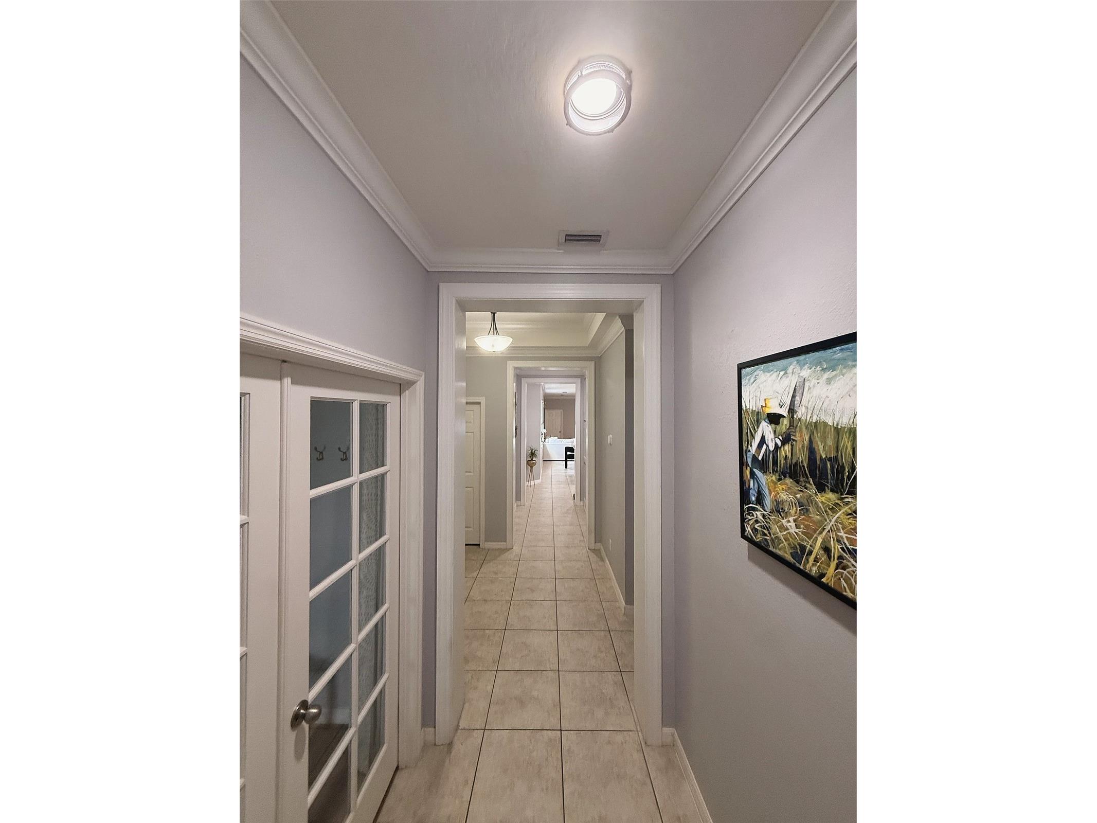 5253 Suncatcher Drive Wesley Chapel FL 33545 TB8512444 image28