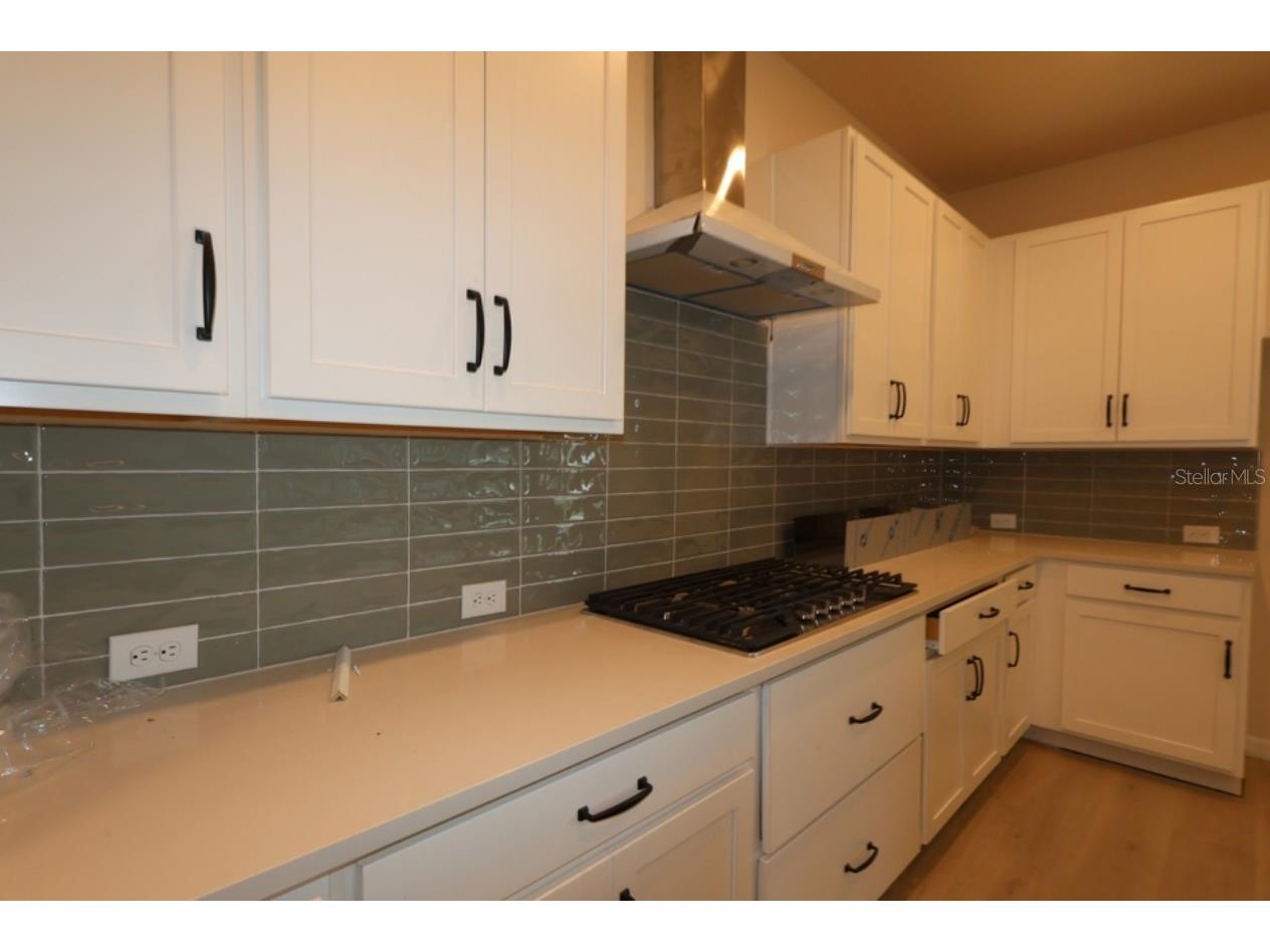 5254 Colony Vista Drive Apollo Beach FL 33572 TB8528902 image9