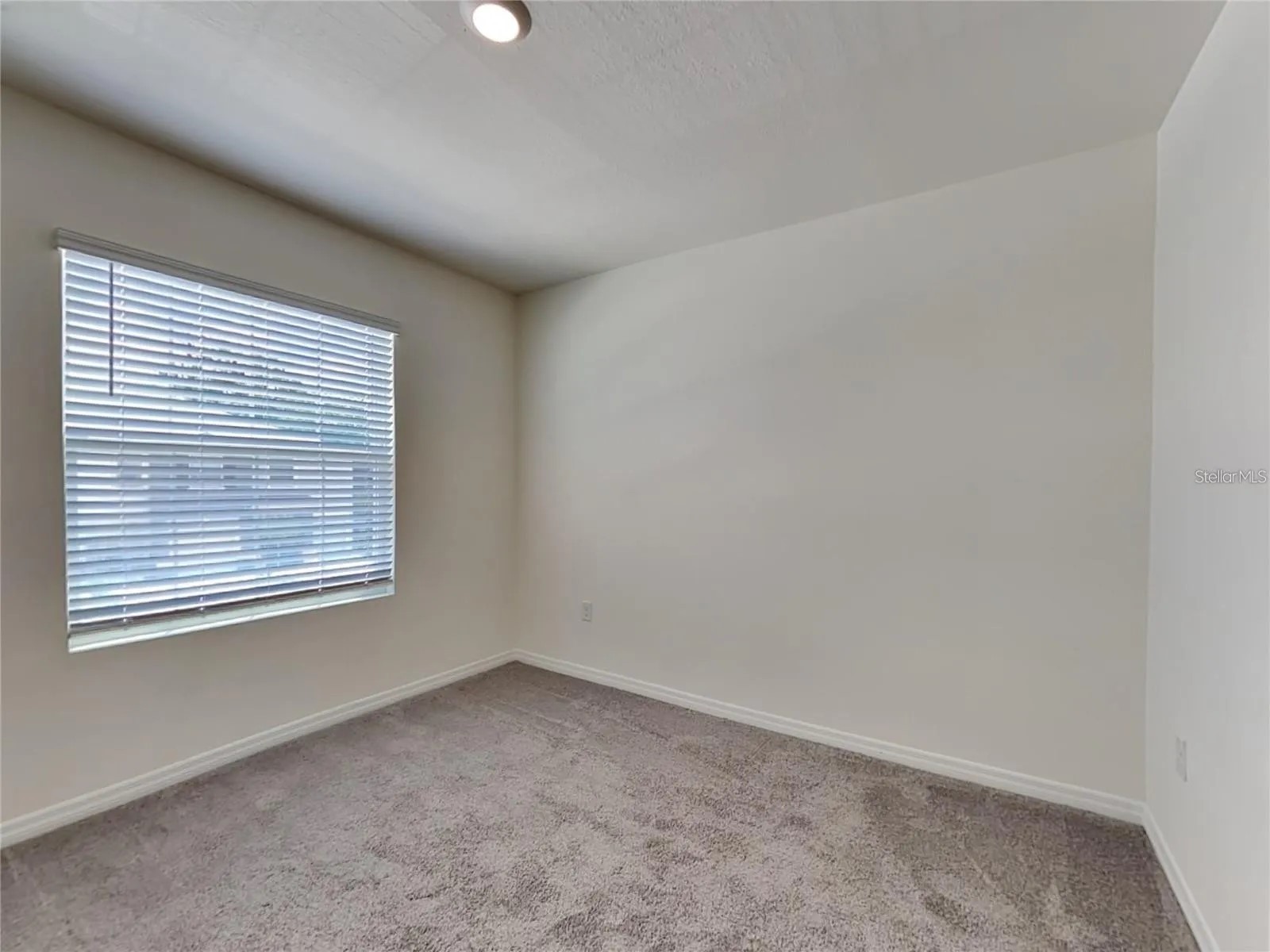 5254 Dragonfly Drive Wildwood FL 34785 S5148690 image21