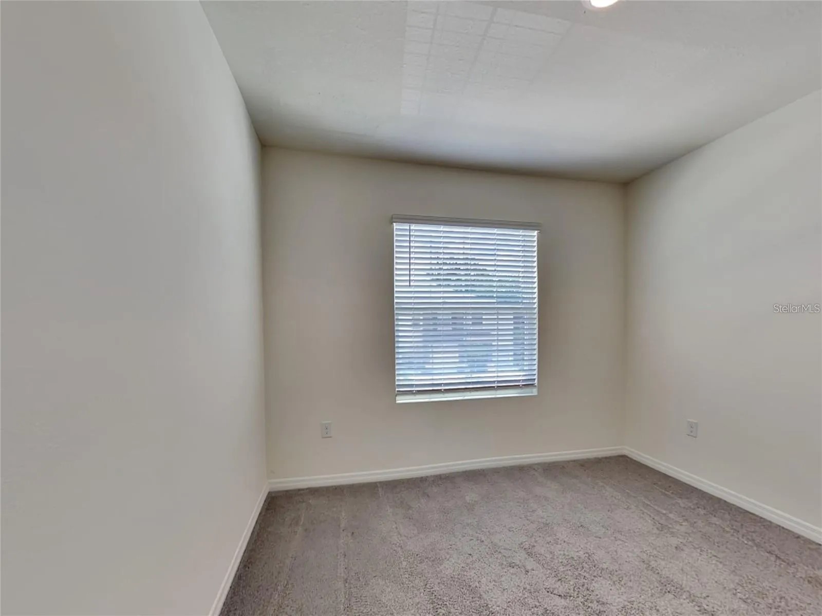 5254 Dragonfly Drive Wildwood FL 34785 S5148690 image22