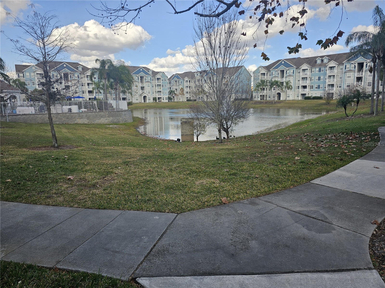 5255 Cane Island Loop #204 Kissimmee FL 34746 O6379360 image13