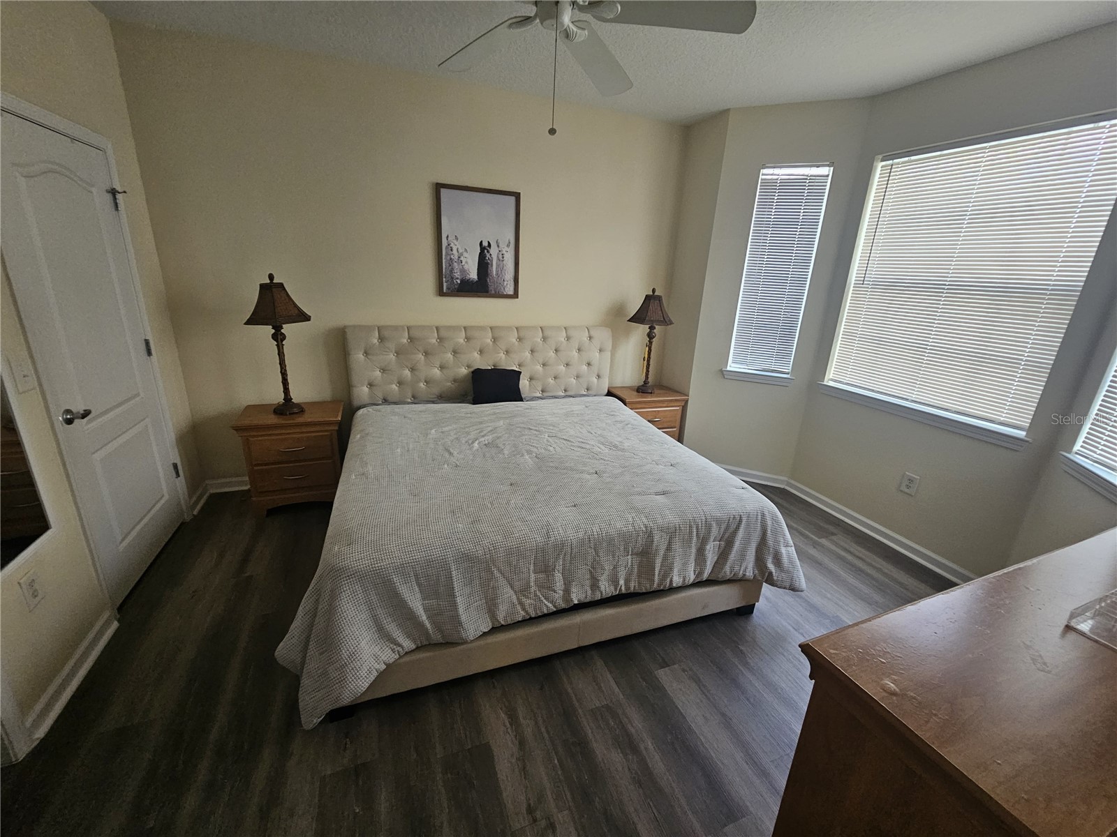 5255 Cane Island Loop #204 Kissimmee FL 34746 O6379360 image6