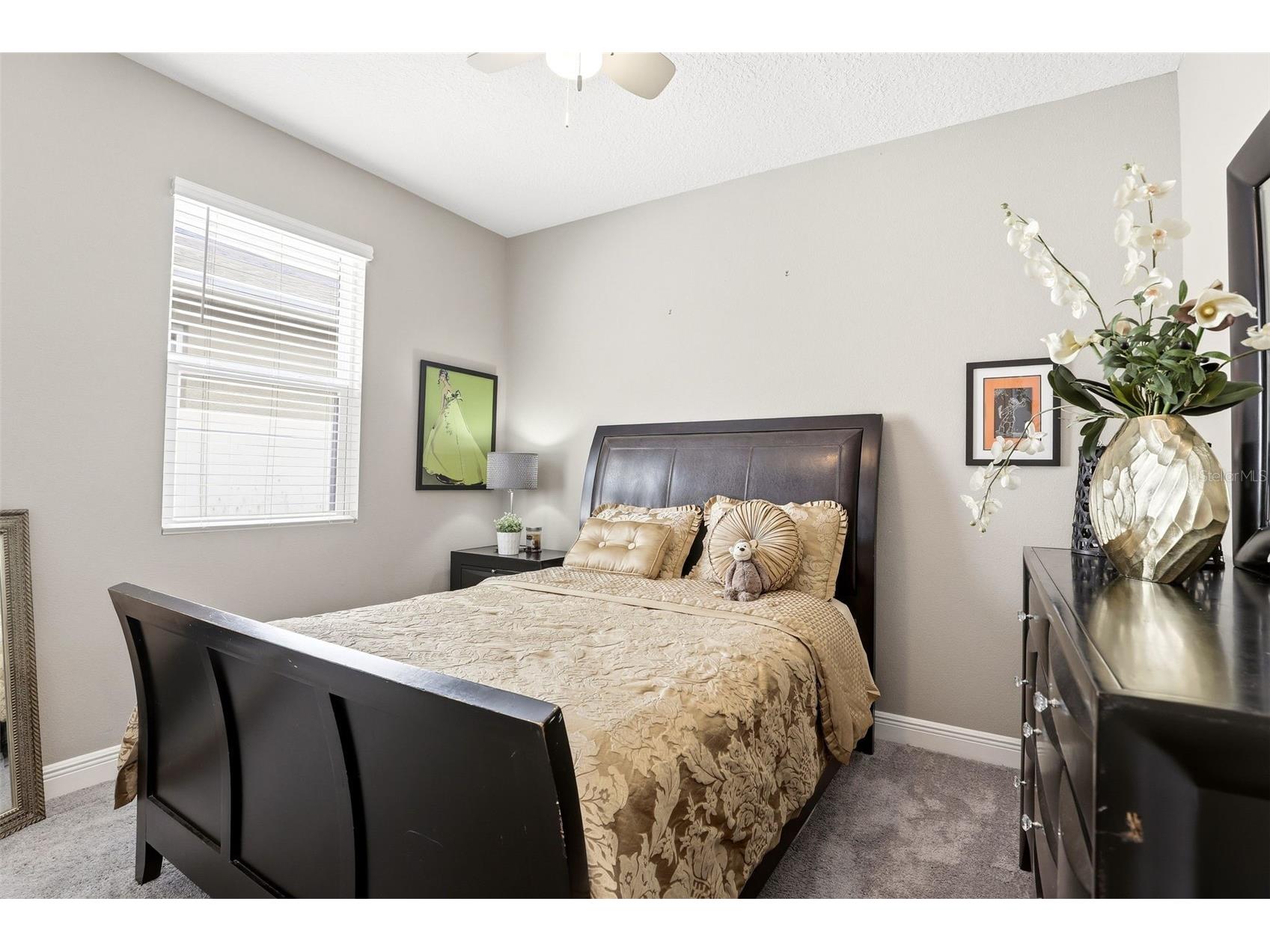 5256 Meadow Song Drive Okahumpka FL 34762 O6393685 image21