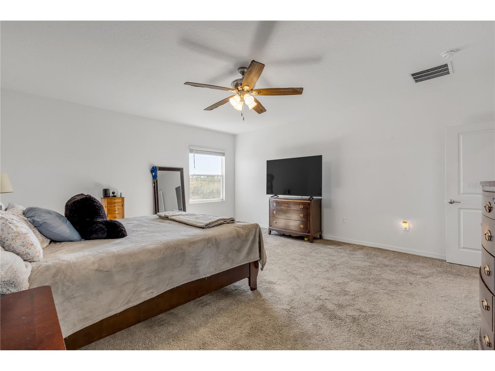 5256 Red Coral Circle Mount Dora FL 32757 NS1087308 image44