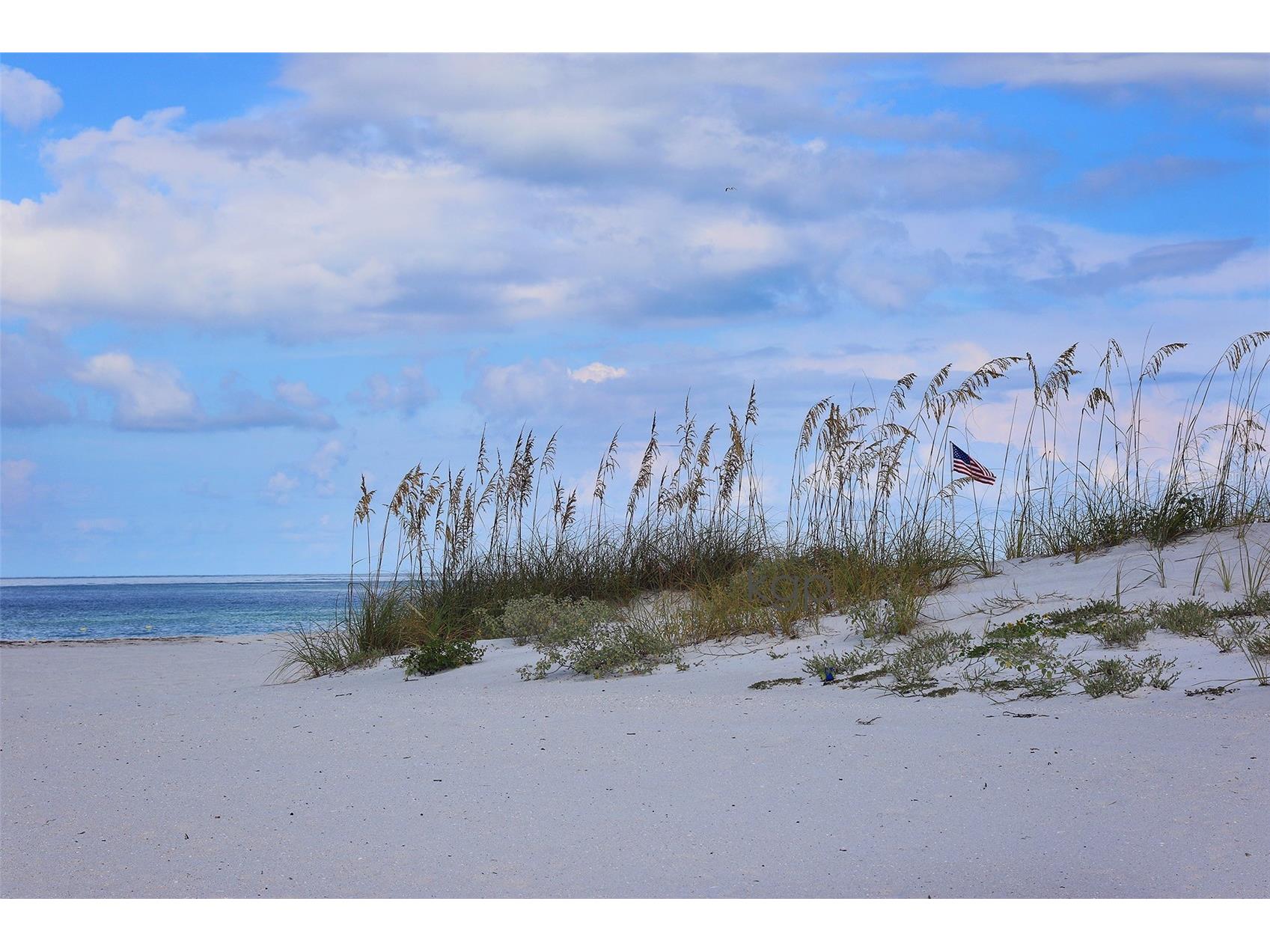 5257 81st Lane N #16 Saint Petersburg FL 33709 TB8480088 image41