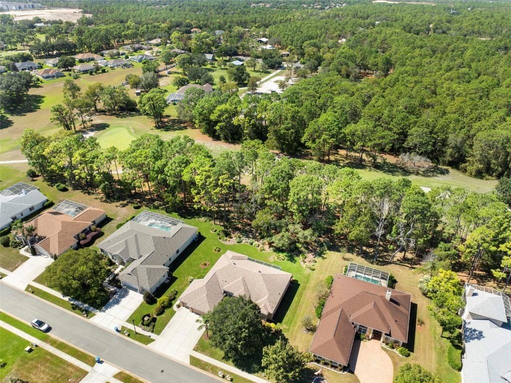 5257 Championship Cup Lane Spring Hill FL 34609 W7879943 image60