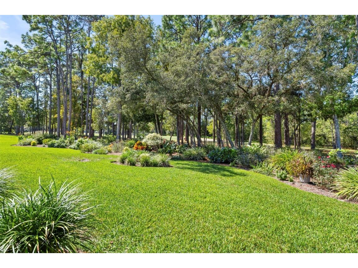 5257 Championship Cup Lane Spring Hill FL 34609 W7879943 image67