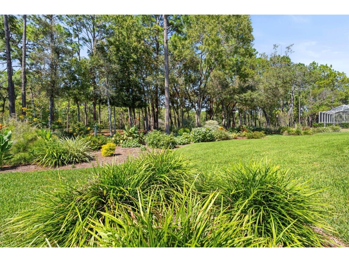 5257 Championship Cup Lane Spring Hill FL 34609 W7879943 image69