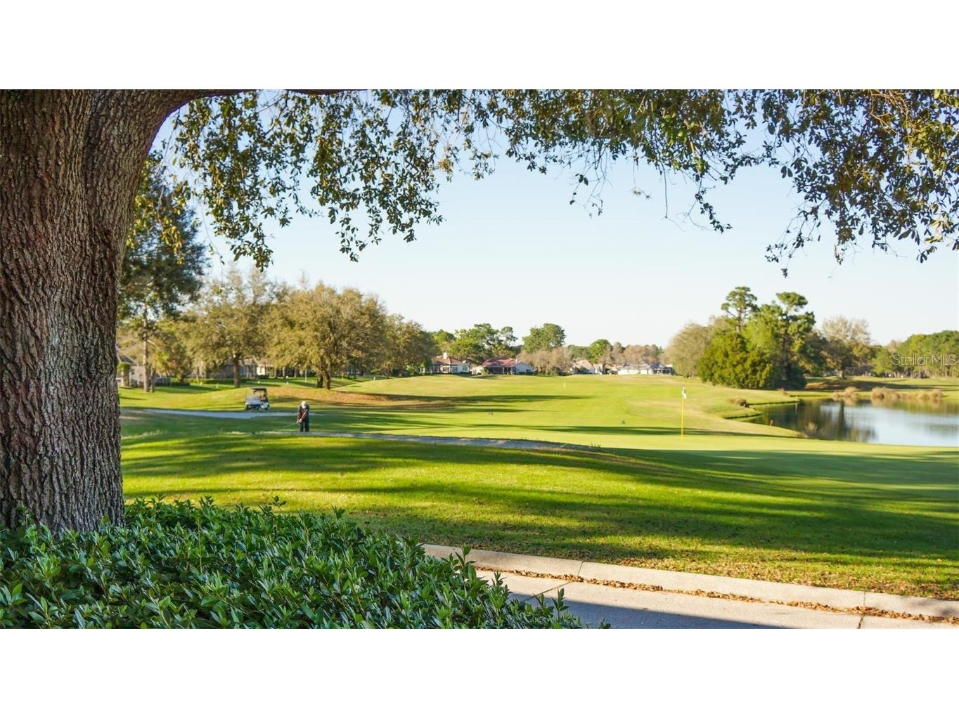 5257 Championship Cup Lane Spring Hill FL 34609 W7879943 image75