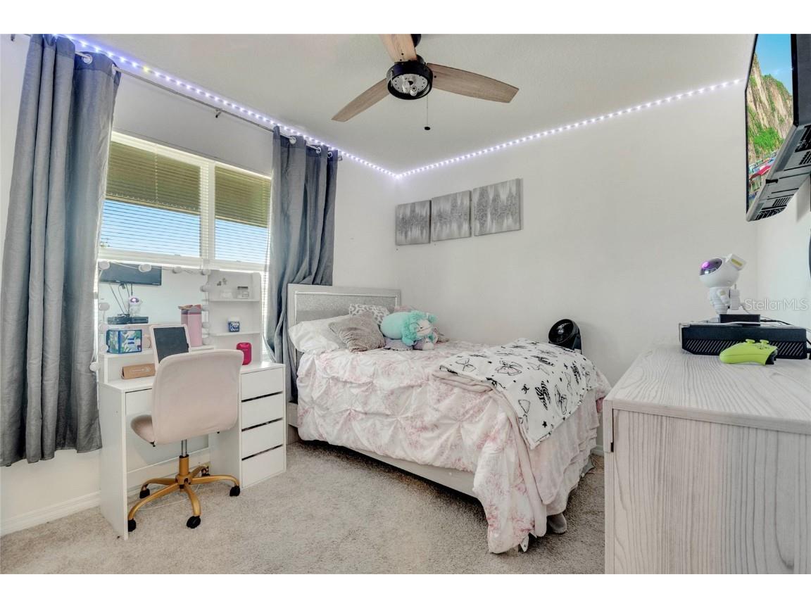 5258 Mahogany Drive Mount Dora FL 32757 O6343378 image15