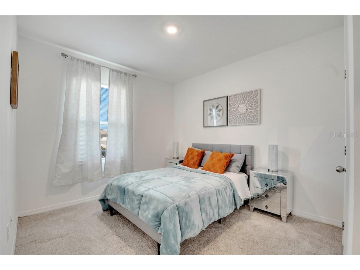 5258 Mahogany Drive Mount Dora FL 32757 O6343378 image18