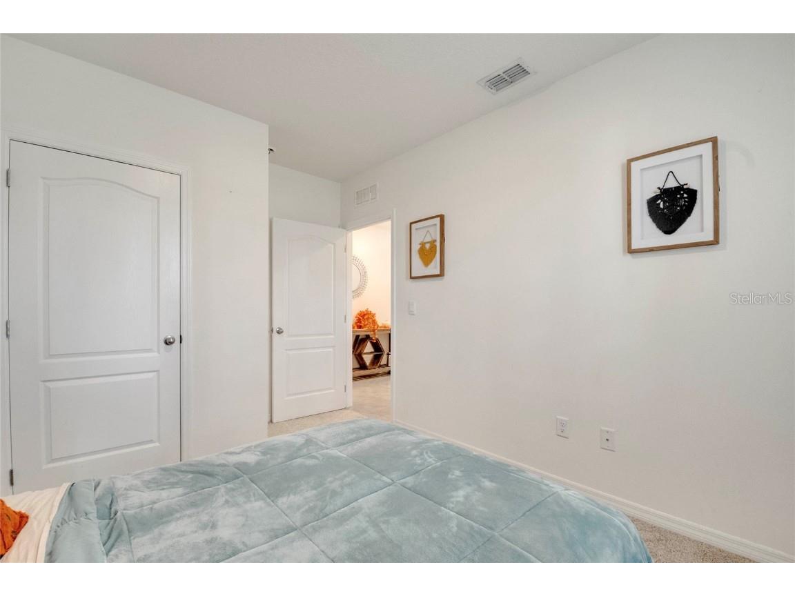 5258 Mahogany Drive Mount Dora FL 32757 O6343378 image19