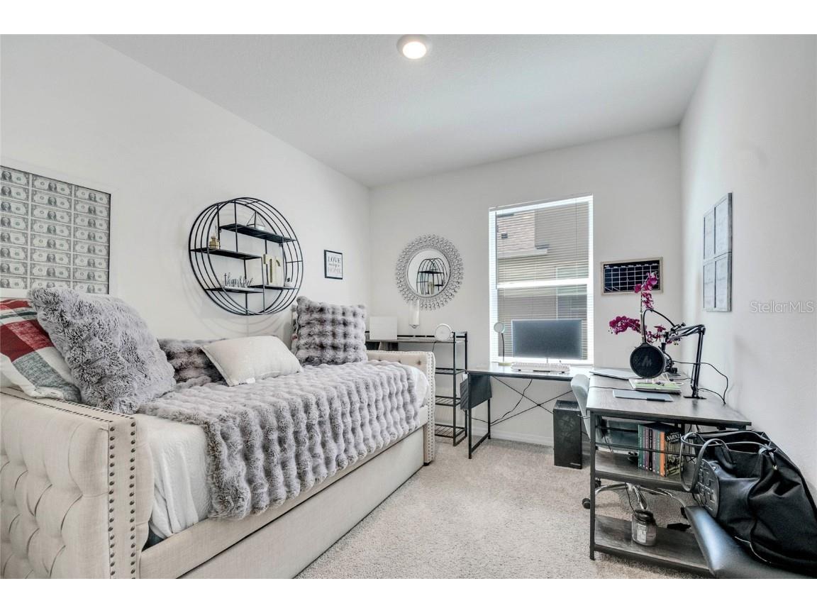 5258 Mahogany Drive Mount Dora FL 32757 O6343378 image22