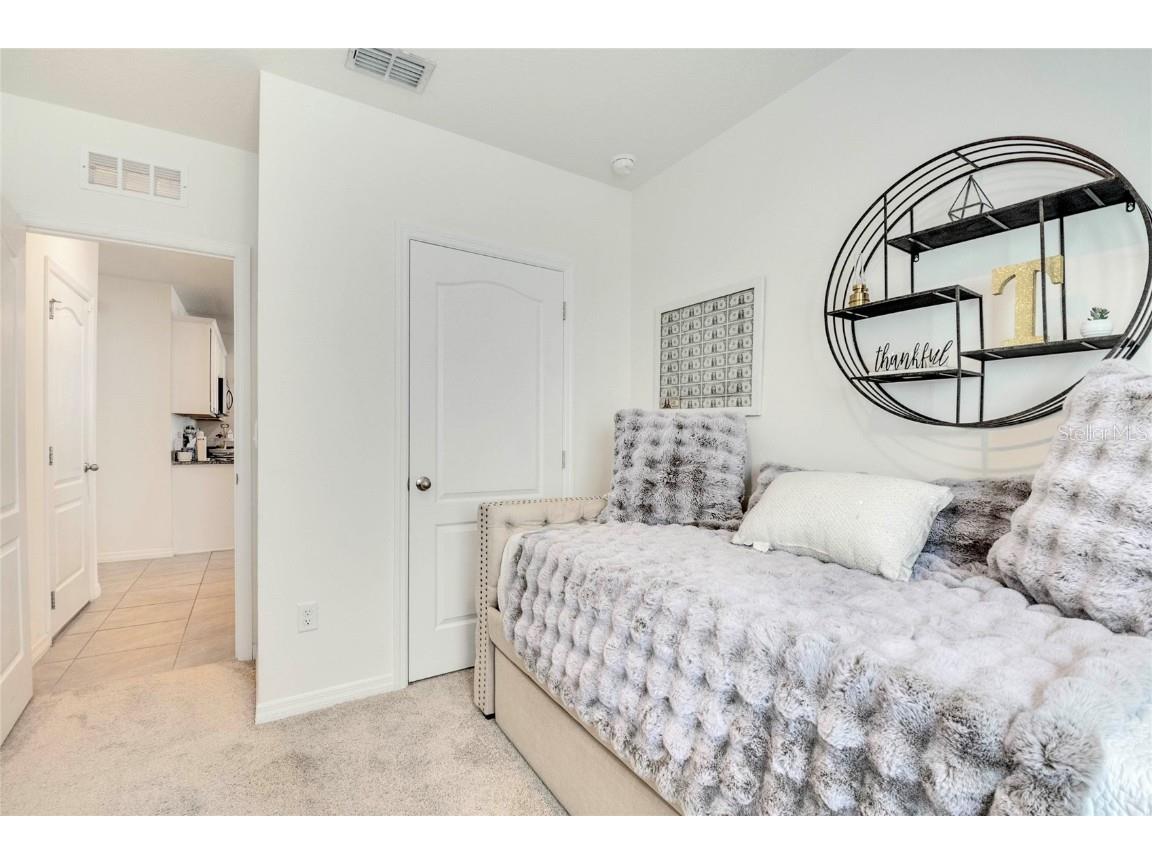 5258 Mahogany Drive Mount Dora FL 32757 O6343378 image23