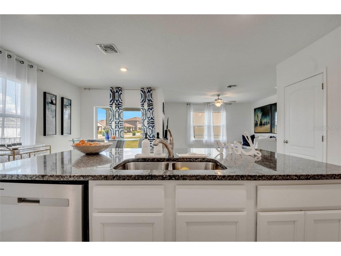 5258 Mahogany Drive Mount Dora FL 32757 O6343378 image26