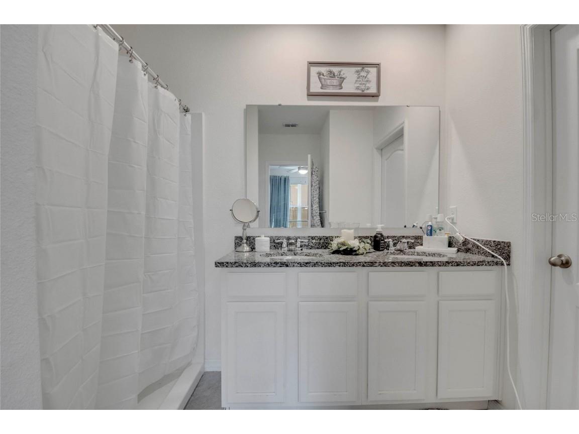 5258 Mahogany Drive Mount Dora FL 32757 O6343378 image41