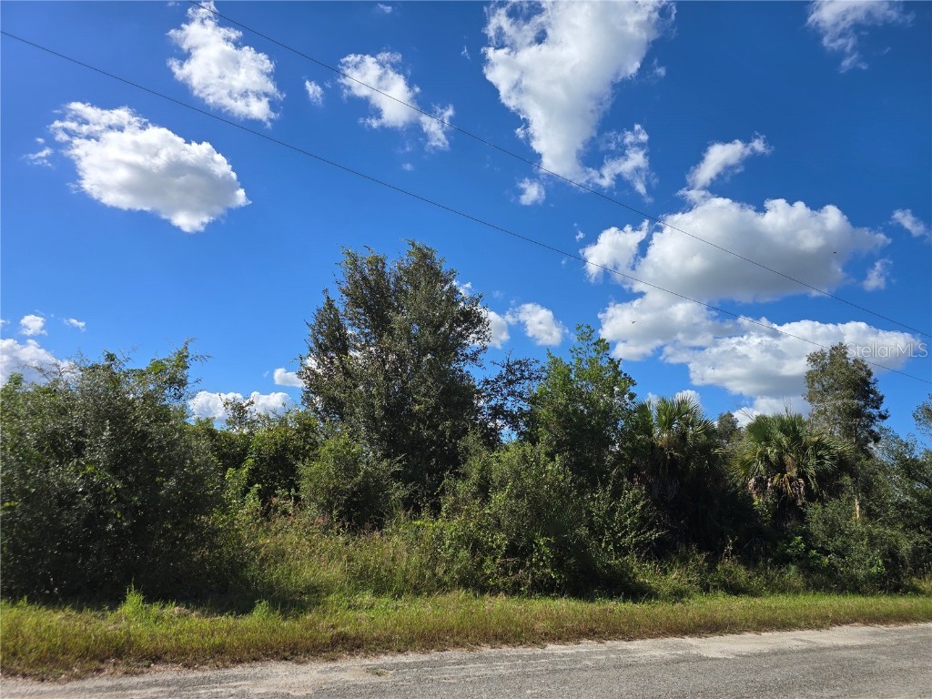 526 Cable Avenue S Lehigh Acres FL 33974 O6353962 image2