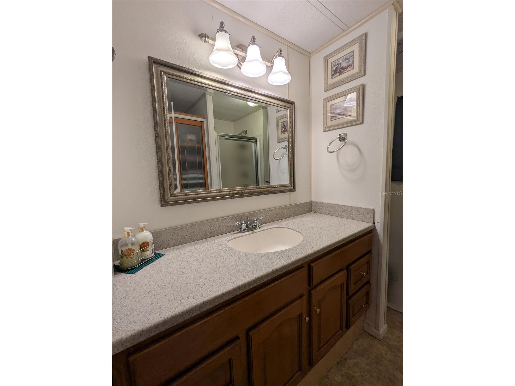 526 Cassandra Lane Lakeland FL 33809 L4962313 image12