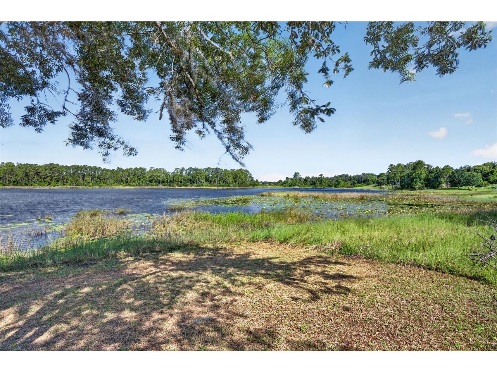 526 Coriander Road Deltona FL 32738 V4949649 image21