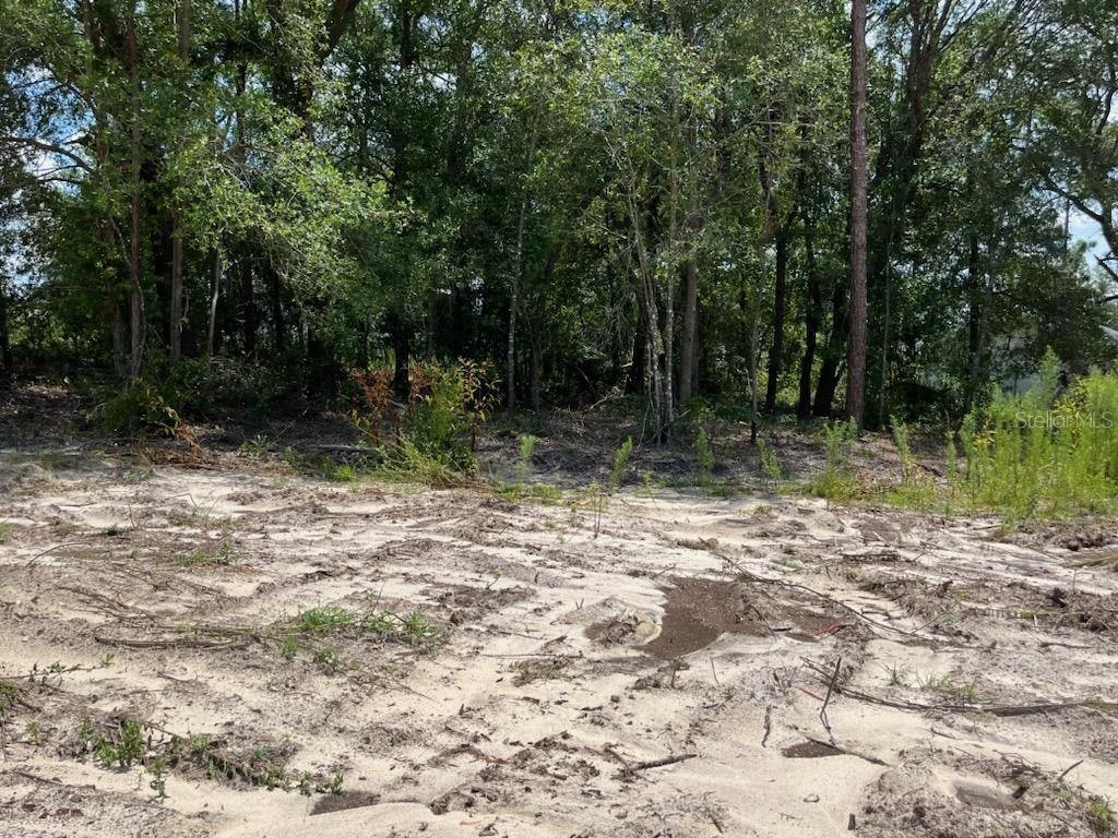 526 Marion Oaks Trail Ocala FL 34473 OM662473 image1