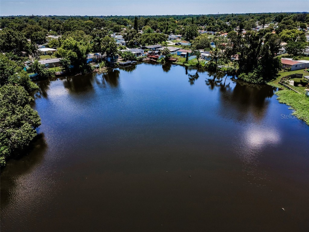 5260 96th Terrace N Pinellas Park FL 33782 TB8404272 image48