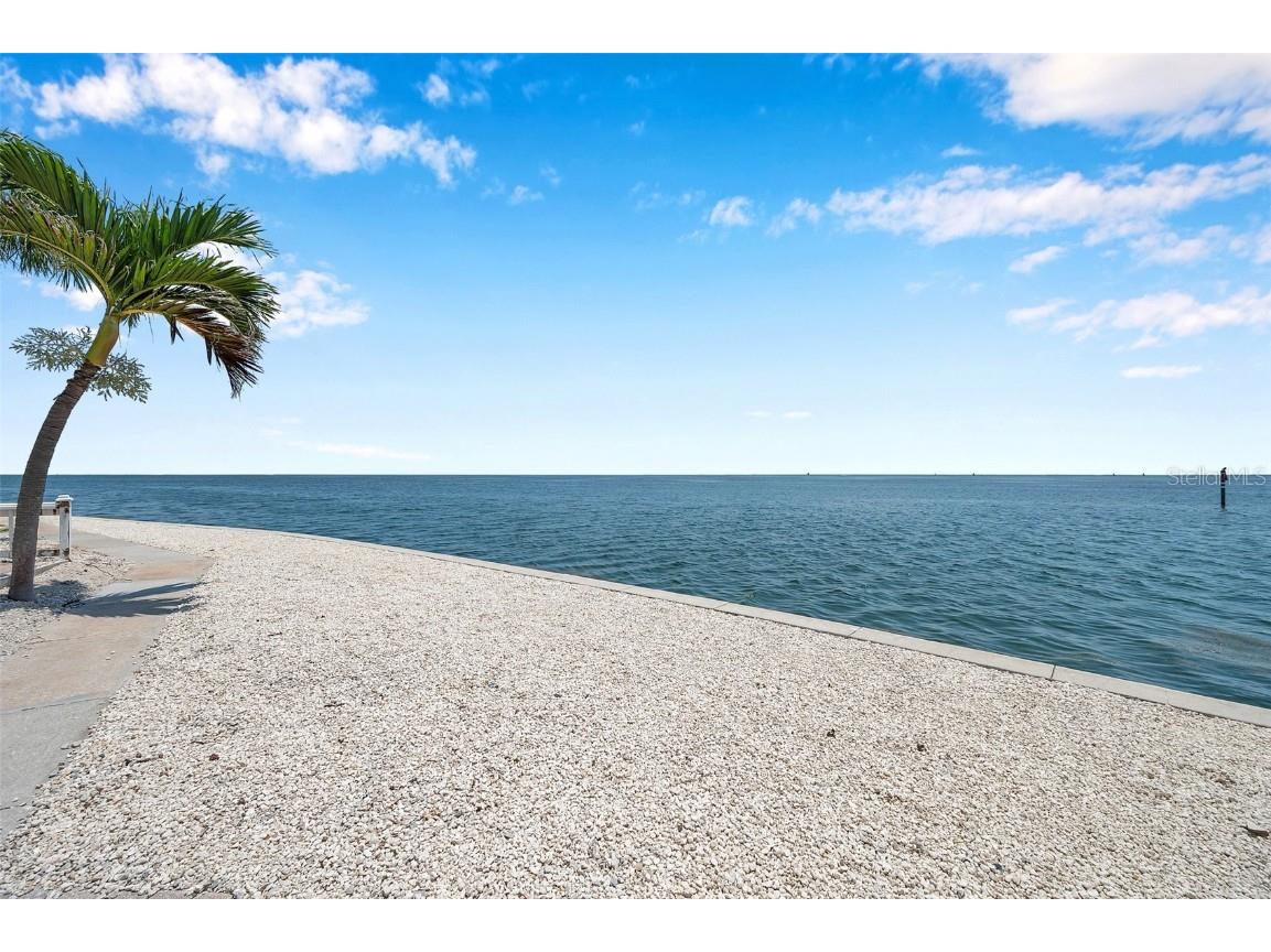 5260 Coquina Key Drive SE #C Saint Petersburg FL 33705 - TAMPA BAY TB8386348 image33