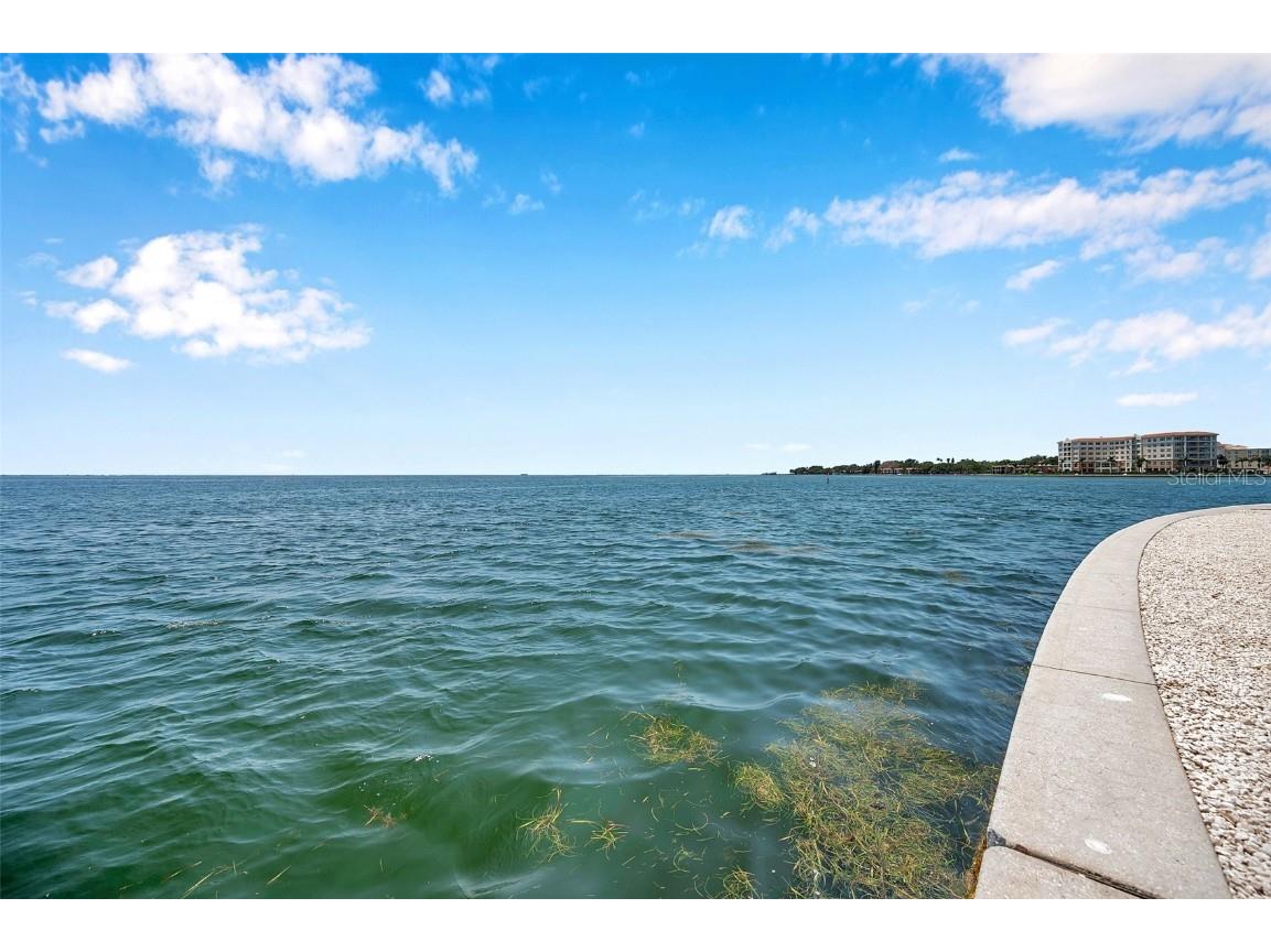 5260 Coquina Key Drive SE #C Saint Petersburg FL 33705 - TAMPA BAY TB8386348 image52