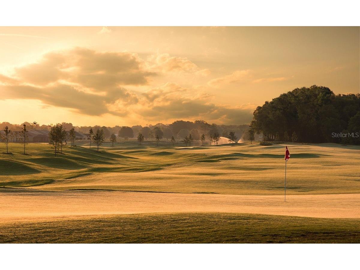 5260 NW 46th Lane Road Ocala FL 34482 OM722024 image88