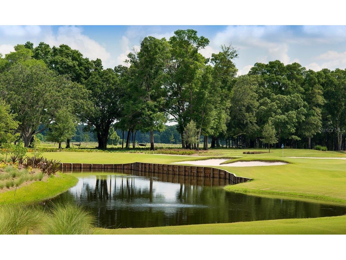 5260 NW 46th Lane Road Ocala FL 34482 OM722024 image95