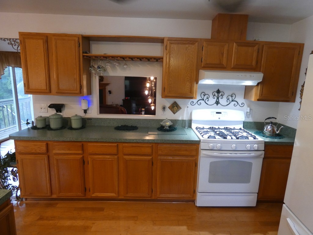 5260 Tuna Lane Weeki Wachee FL 34607 W7878618 image18