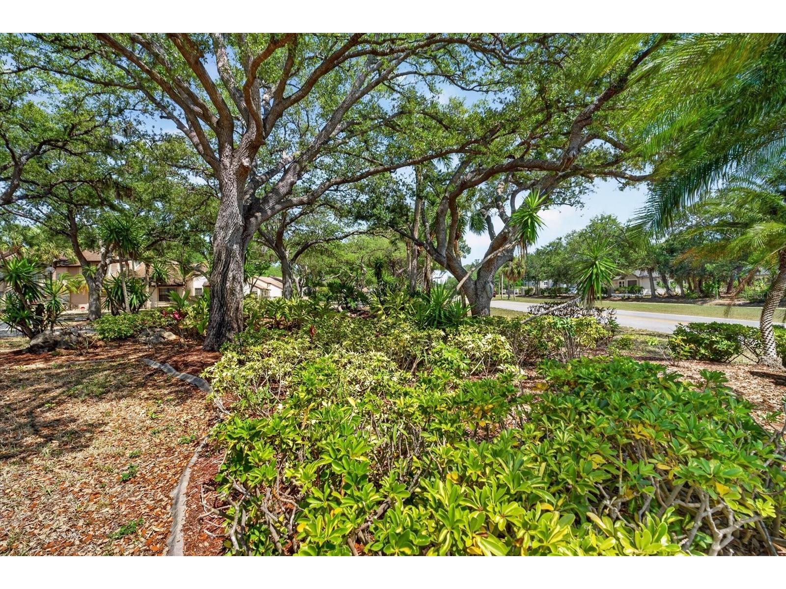 5261 Brassy Loop North Port FL 34287 N6144178 image45
