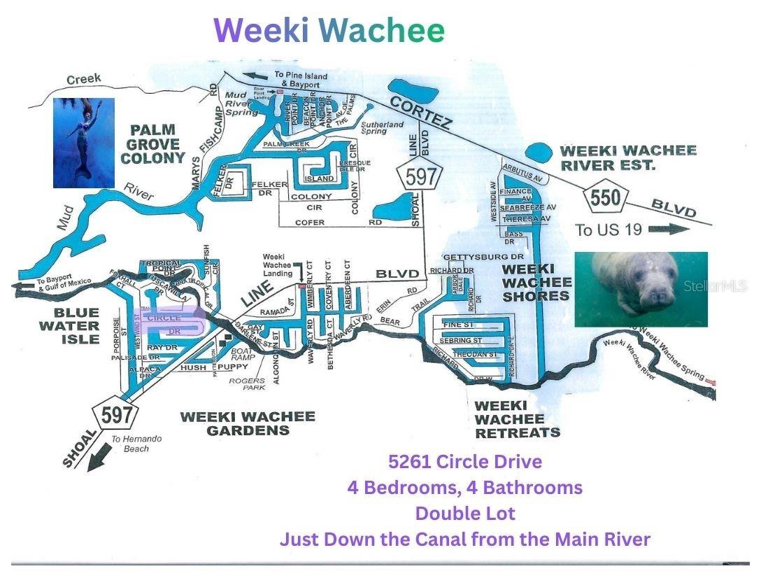 5261 Circle Drive Weeki Wachee FL 34607 - WEEKI WACHEE RIVER & GULF W7881651 image2