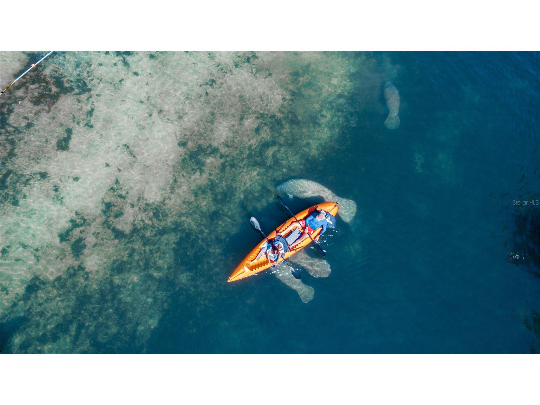 5261 Circle Drive Weeki Wachee FL 34607 - WEEKI WACHEE RIVER & GULF W7881651 image43