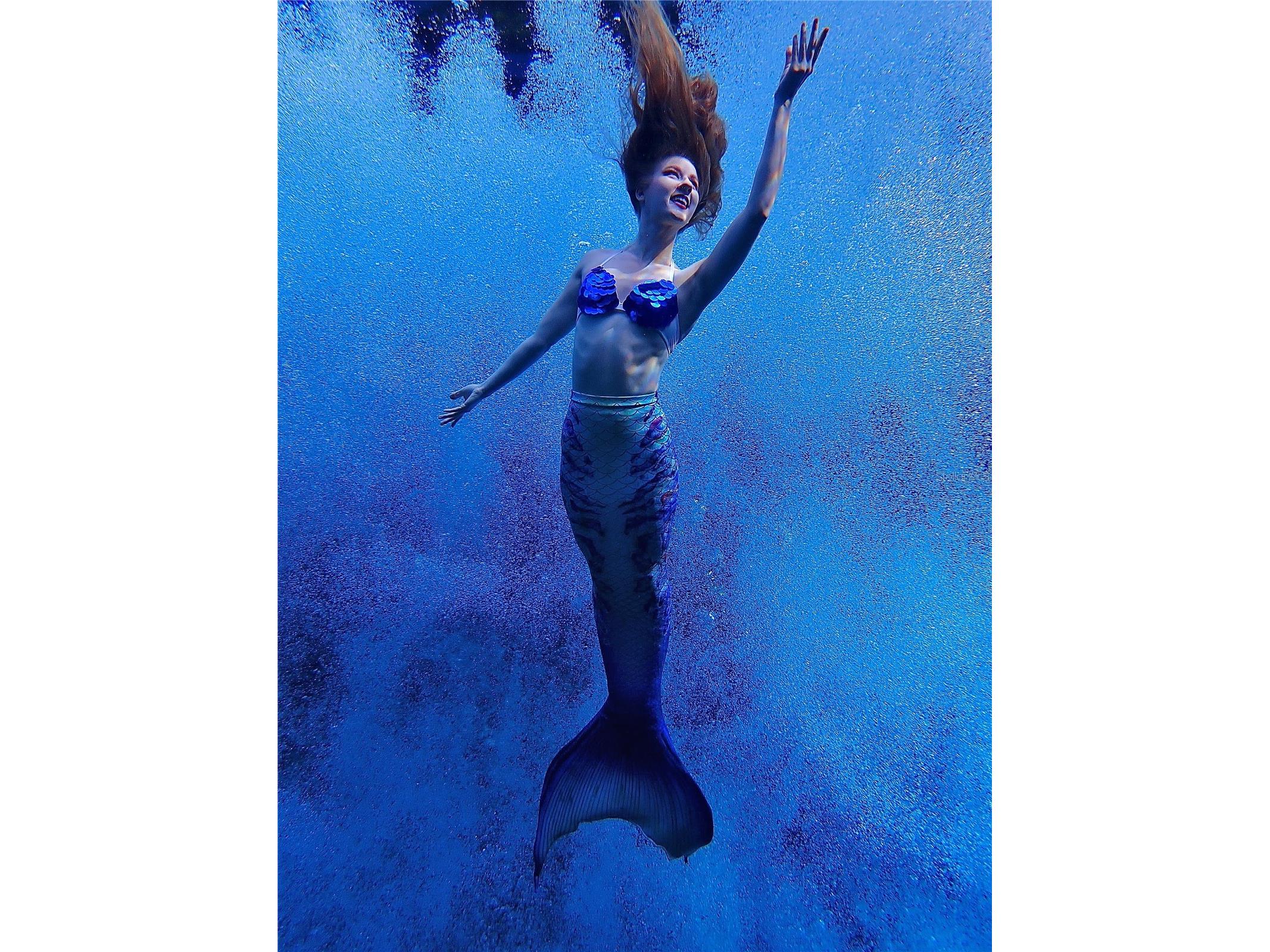 5261 Circle Drive Weeki Wachee FL 34607 - WEEKI WACHEE RIVER & GULF W7881651 image47